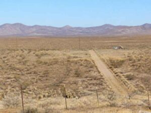 Large desert parcel with access road, fencing, and open land in Pahrump, NV, relevant to an ALTA land survey for a property purchase.