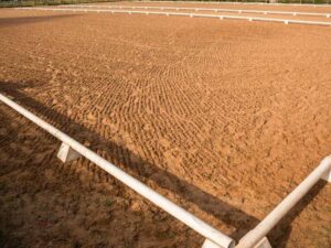 Topo survey for a desert equestrian arena site in Pahrump, Nevada, showing grading, elevations, drainage, utilities, and access areas. 